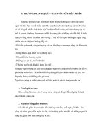 15 phương pháp tuyệt vời trị gàu từ thiên nhiên