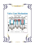 Tài liệu Valve Cam Mechanism docx