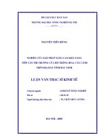 Nghiên cứu giải pháp nâng cao tiếp cận thị trường của hộ trồng hoa, cây cảnh trên địa bàn tỉnh bắc ninh 