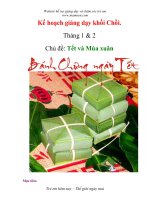 Tài liệu Kế hoạch giảng dạy - Chủ đề: Tết và Mùa xuân - Khối Chồi pdf