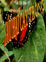 Phòng trừ tổng hợp dịch hại cây trồng