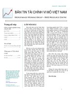 Tài liệu BẢN TIN TÀI CHÍNH VI MÔ VIỆT NAM ppt