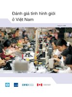 Tài liệu Viet Nam: Country Gender Assessment December 2006 ppt