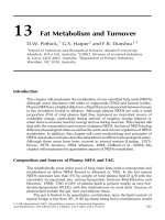 Tài liệu Quantitative aspects of ruminant digestion and metabolism - Phần 10 pptx