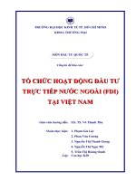 TỔ CHỨC HOẠT ĐỘNG đầu tư TRỰC TIẾP nước NGOÀI (FDI) tại VIỆT NAM 