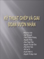 Tài liệu Bài thuyết trình đề tài: Kỹ thuật ghép và giai đoạn vườn nhân docx