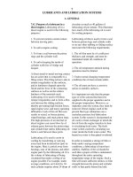 Tài liệu Tài liệu Diezel 1410 P7 pdf