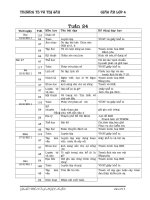 Bài soạn Giao an tuan 24 CKTKN - KNS