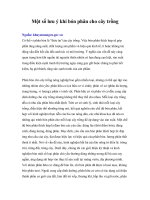 Tài liệu Một số lưu ý khi bón phân cho cây trồng doc