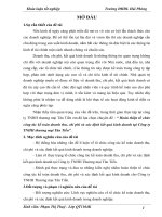 Hoàn thiện tổ chức công tác kế toán doanh thu, chi phí và xác định kết quả kinh doanh tại công ty TNHH thương mại tân tiến 