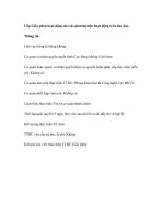 Tài liệu Cấp Giấy phép hoạt động cho các phương tiện hoạt động trên khu bay pptx