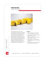 Tài liệu FiberGuide® Express Exit™ Family pdf