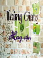 Bài soạn GT Huy Can- Tràng Giang