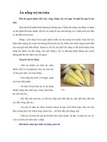 Tài liệu Ăn uống trị táo bón docx