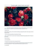 Anh sẽ cười, em yêu à! 