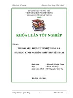 Thương mại điện tử ở nhật bản và bài học kinh  nghiệm đối với việt nam 