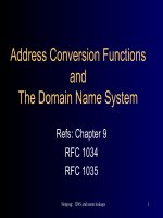 Tài liệu Address Conversion Functions and The Domain Name System docx