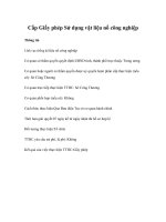 Tài liệu Cấp Giấy phép Sử dụng vật liệu nổ công nghiệp docx