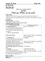 Bài giảng GA lớp 5 tuần 23 CKT-KN-BVMT