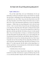 Tài liệu Kỹ thuật nuôi cầu gai bằng phương pháp giàn bè pdf