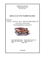 Tách n  butyl  b  d  fructopyranozit từ cây ráy (alocasia macrorrhiza (l ) schott) ở hà tĩnh 