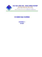 Tài liệu Vi sinh đại cương P7 pdf
