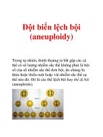 Tài liệu Đột biến lệch bội (aneuploidy) docx