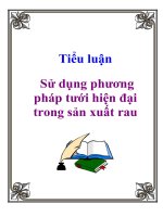 Tài liệu Tiểu luận: Sử dụng phương pháp tưới hiện đại trong sản xuất rau pdf