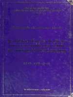Huy động và sử dụng vốn đầu tư phục vụ sự nghiệp công nghiệp hóa trên địa bàn tp  hồ chí minh 