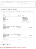 Tài liệu Oracle PL/SQL Language Pocket Reference- P21 doc