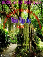 Tài liệu Cái cầu