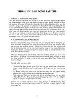 Tiểu luận THỎA ước LAO ĐỘNG tập THỂ 