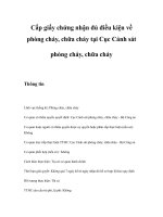 Tài liệu Cấp giấy chứng nhận đủ điều kiện về phòng cháy, chữa cháy pdf