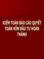 Tài liệu KIỂM TOÁN BÁO CÁO QUYẾT TOÁN VỐN ĐẦU TƯ HOÀN THÀNH ppt