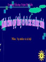 Tài liệu KHẢ NĂNG KÌ DIỆU CỦA LÁ CÂY
