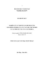 Nghiên cứu lý thuyết cơ chế phản ứng hydro của các vật liệu trữ hydro và vai trò xúc tác của các hydrua 
