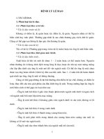 Tài liệu Giáo trình Bệnh lý lệ đạo doc