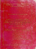 Nghiên cứu   phân tích các rủi ro trong hoạt động kinh doanh của các doanh nghiệp việt nam trong điều kiện hội nhập kinh tế quốc tế 