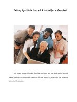 Tài liệu Năng lực lãnh đạo và khái niệm viễn cảnh , ppt