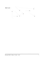 CÁC yếu tố ẢNH HƯỞNG đến VIỆC tận DỤNG INTERNET của các DOANH NGHIỆP QUỐC tế hóa TRONG THỊ TRƯỜNG CHUYỂN đổi 