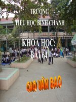 Tài liệu Kho học-Lớp 5-Vai trò của môi trường tự nhiên đối với đời sống con người