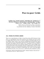 Tài liệu Grid Computing P18 pdf