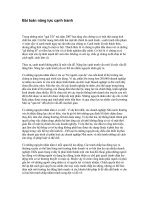 Tài liệu Bài toán năng lực cạnh tranh pptx