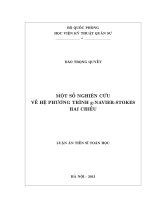 Một số nghiên cứu về hệ phương trình g navier stokes hai chiều 