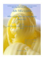 Tiểu luận phương pháp cơ học làm nở bột bánh 