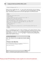 Tài liệu Creating Cool Web Sites with HTML, XHTML and CSS (2010)- P4 ppt