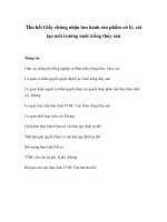 Tài liệu Thu hồi Giấy chứng nhận lưu hành sản phẩm xử lý, cải tạo môi trường nuôi trồng thủy sản doc