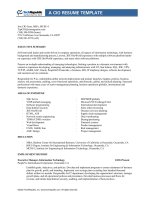 Tài liệu A CIO RESUME TEMPLATE pptx