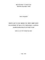 Phân lập và xác định cấu trúc hợp chất flavonoit từ quả cây thảo đậu (alpinia kadsumadai hayt) ở việt nam khóa luận tốt nghiệp đại học 