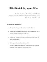 Tài liệu Bài viết trình bày quan điểm pdf
